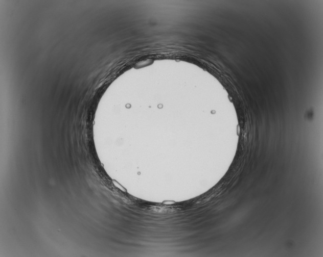 X0000114600520200911301426