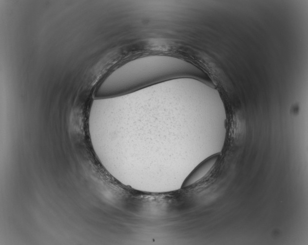 X0000114600524200911301426