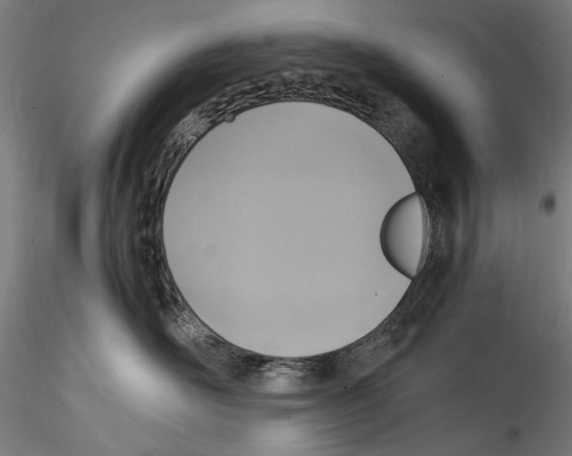 X0000114600526200911301426