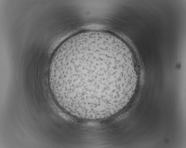 X0000114600529200911301425