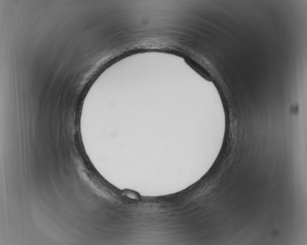 X0000114600530200911301425