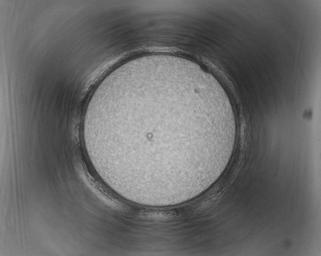 X0000114600533200911301425