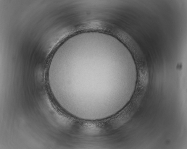 X0000114600534200911301425