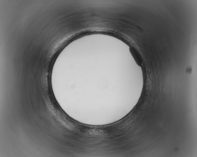 X0000114600535200911301425