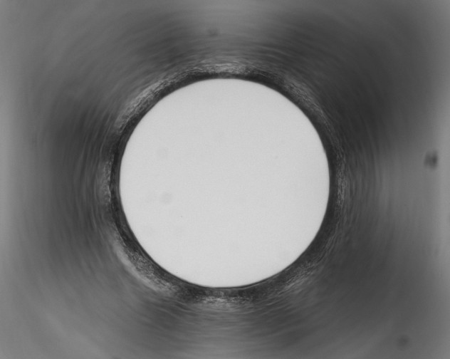 X0000114600538200911301425