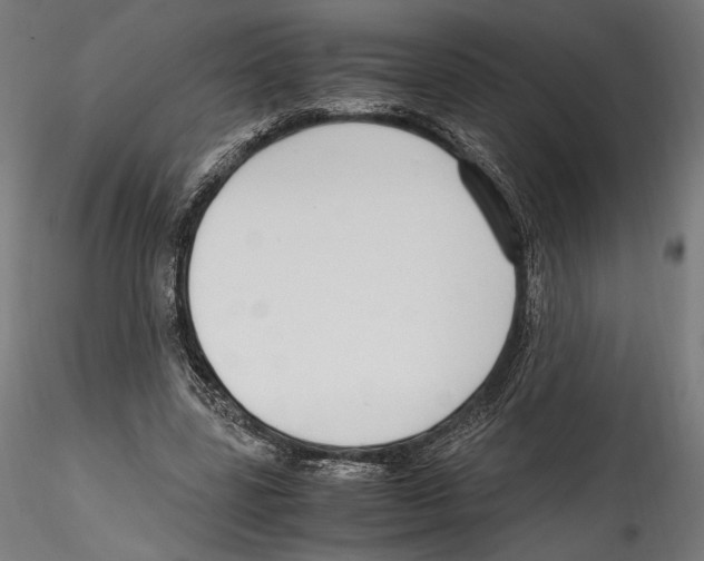 X0000114600539200911301425