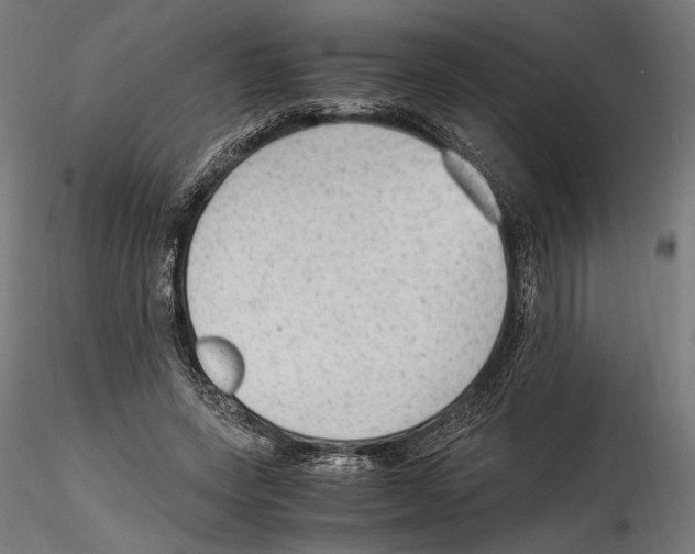 X0000114600543200911301425