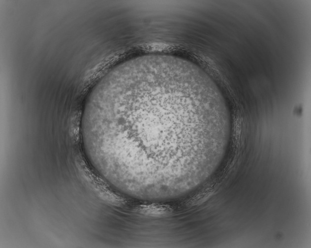 X0000114600545200911301425