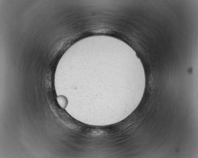 X0000114600547200911301425