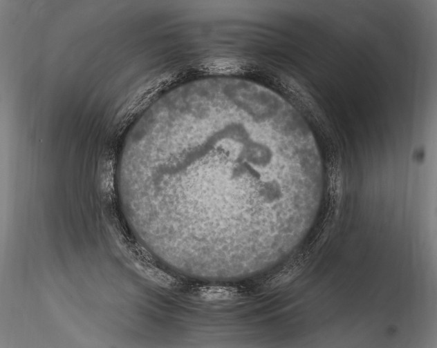 X0000114600549200911301425