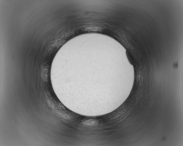 X0000114600551200911301425