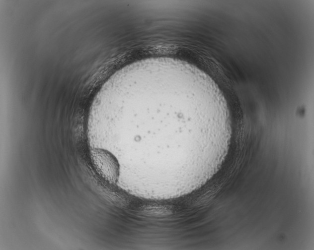 X0000114600553200911301425