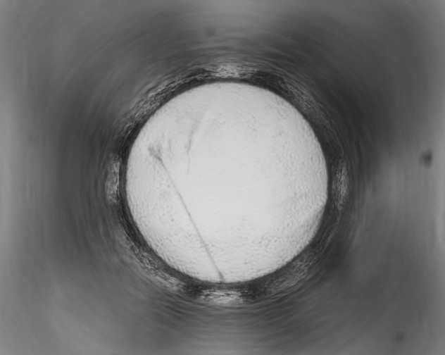 X0000114600554200911301425