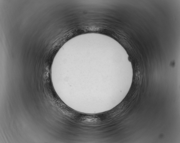 X0000114600555200911301425