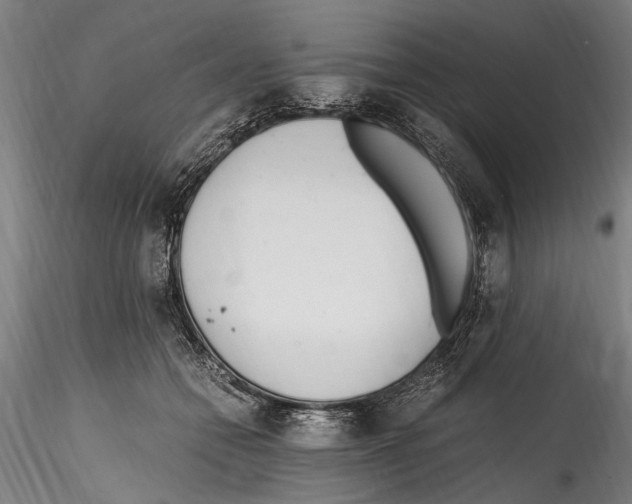 X0000114600558200911301425