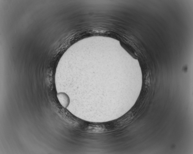 X0000114600559200911301425