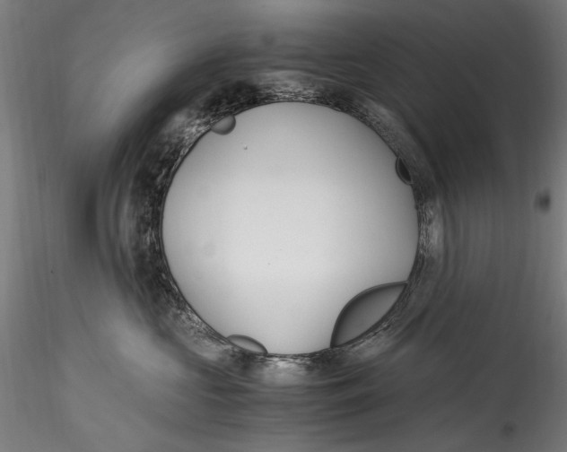 X0000114600573200911301426