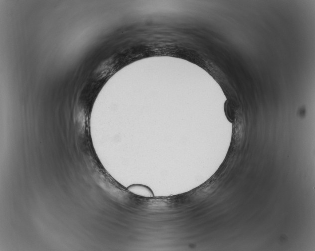 X0000114600574200911301426