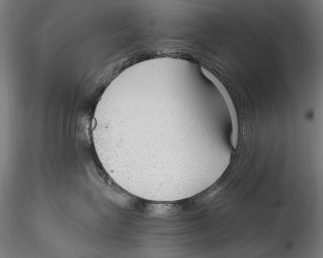 X0000114600575200911301426