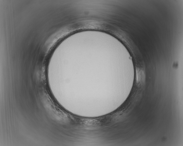 X0000114600579200911301425