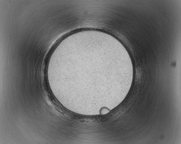 X0000114600580200911301425