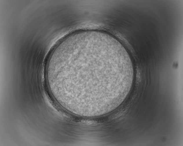 X0000114600582200911301425