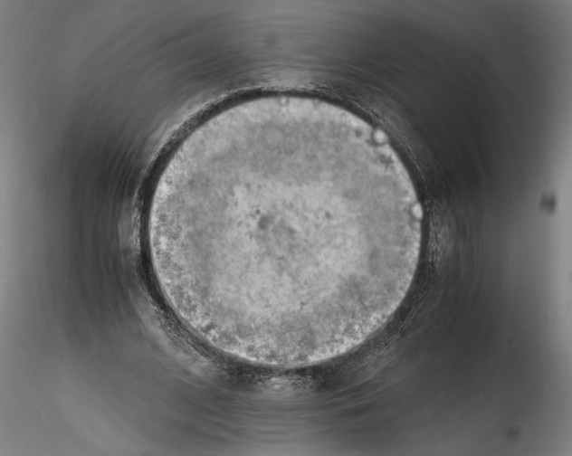 X0000114600584200911301425