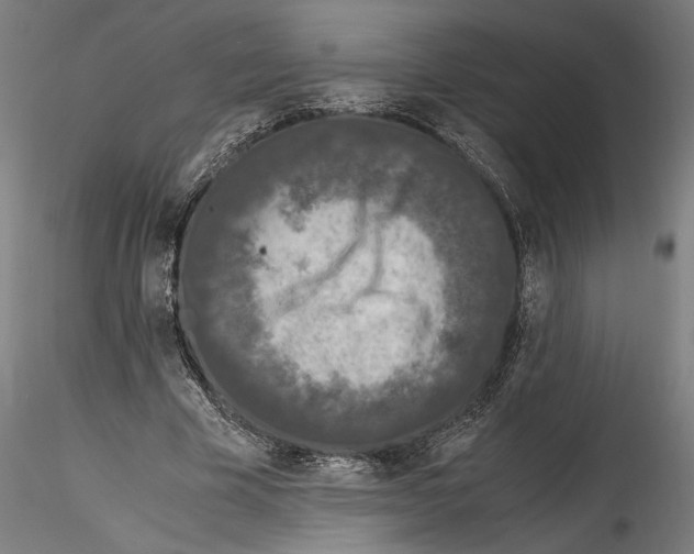 X0000114600585200911301425