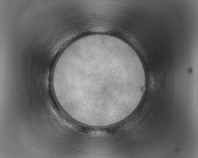 X0000114600586200911301425