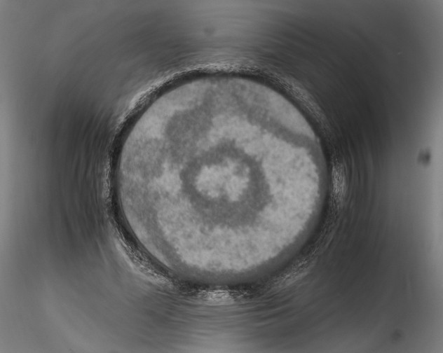 X0000114600588200911301425