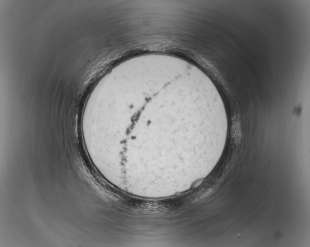 X0000114600589200911301425