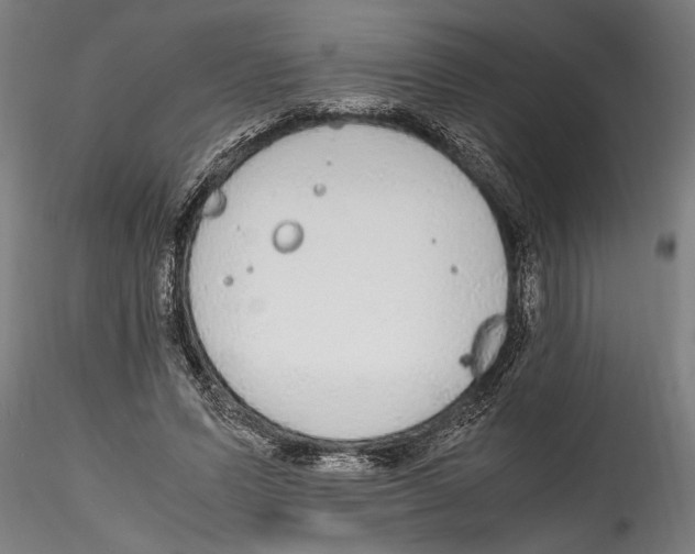 X0000114600591200911301425