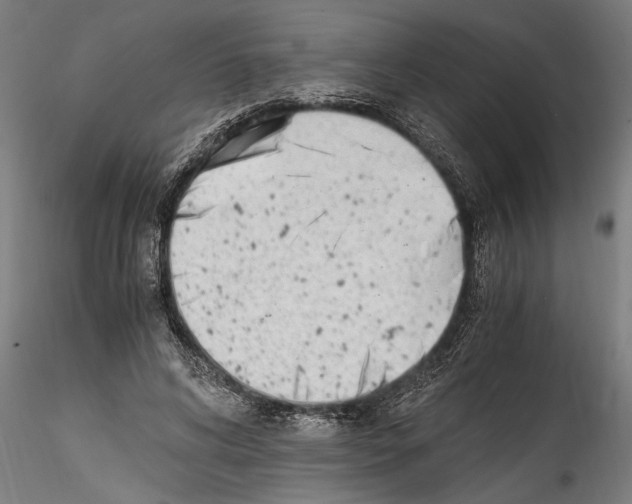 X0000114600592200911301425