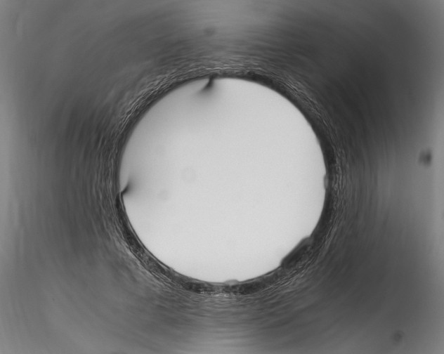 X0000114600593200911301425