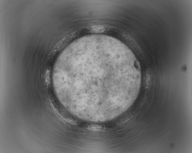 X0000114600598200911301424