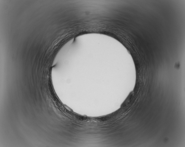 X0000114600599200911301424