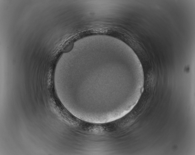 X0000114600600200911301424