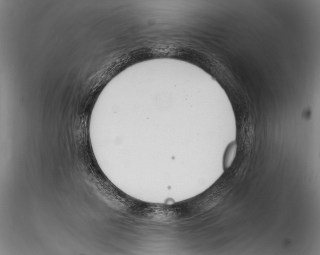 X0000114600601200911301424