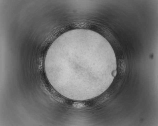 X0000114600602200911301424