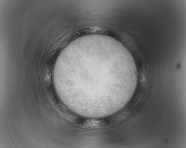 X0000114600607200911301424