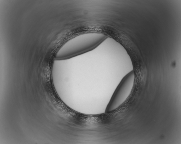 X0000114600609200911301424