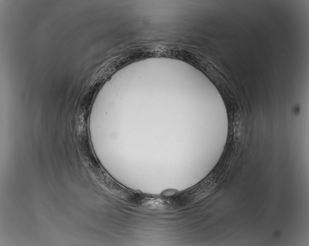 X0000114600611200911301424