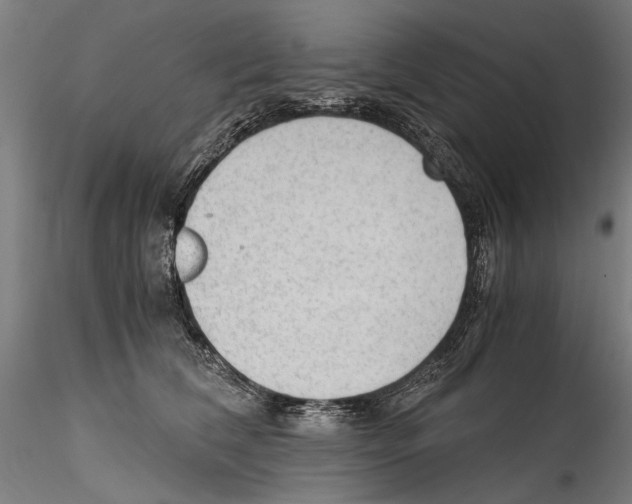 X0000114600612200911301424