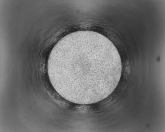 X0000114600615200911301424