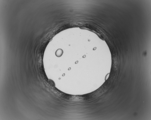 X0000114600617200911301424