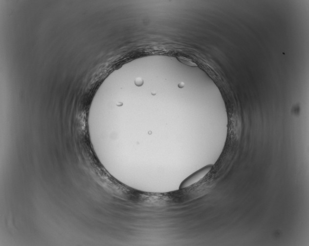 X0000114600621200911301424