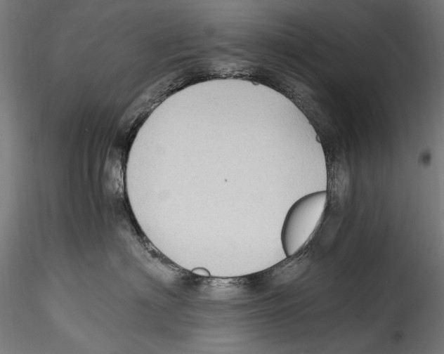 X0000114600622200911301424