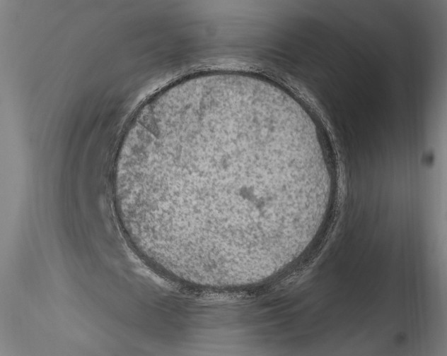 X0000114600625200911301423