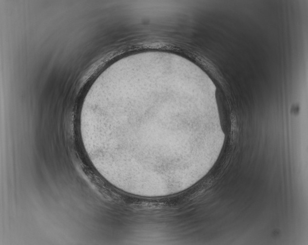 X0000114600626200911301423