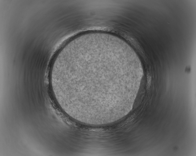 X0000114600628200911301423